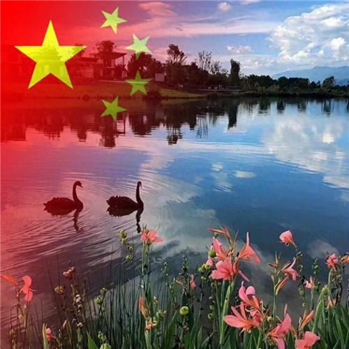 2023最新款微信国庆头像图片，国旗配色，爱国之心满满！