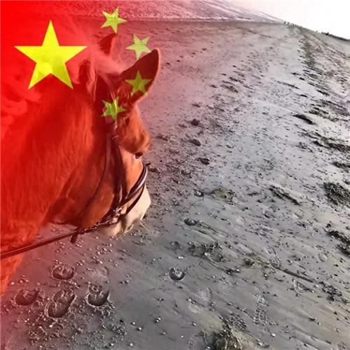 2023最新款微信国庆头像图片，国旗配色，爱国之心满满！