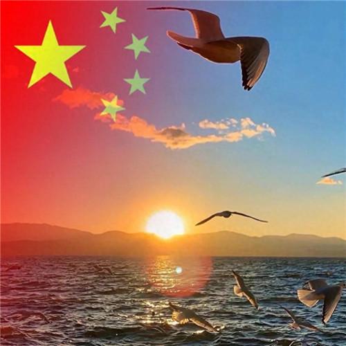 2023最新款微信国庆头像图片，国旗配色，爱国之心满满！