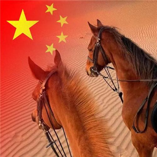 2023最新款微信国庆头像图片，国旗配色，爱国之心满满！