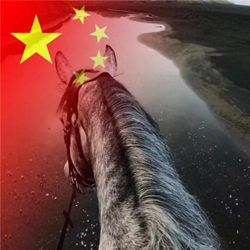 2023最新款微信国庆头像图片，国旗配色，爱国之心满满！