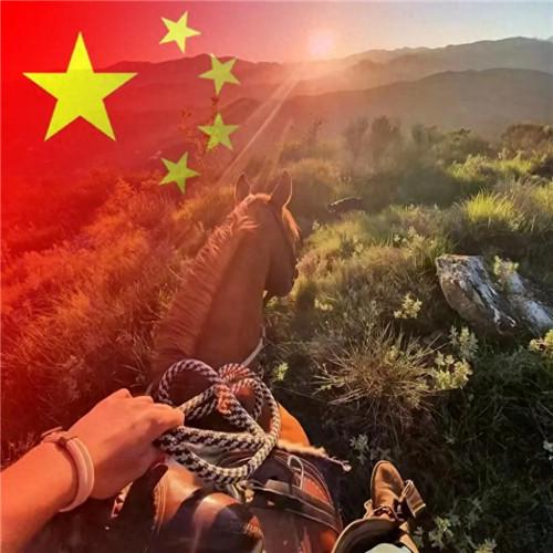 2023最新款微信国庆头像图片，国旗配色，爱国之心满满！