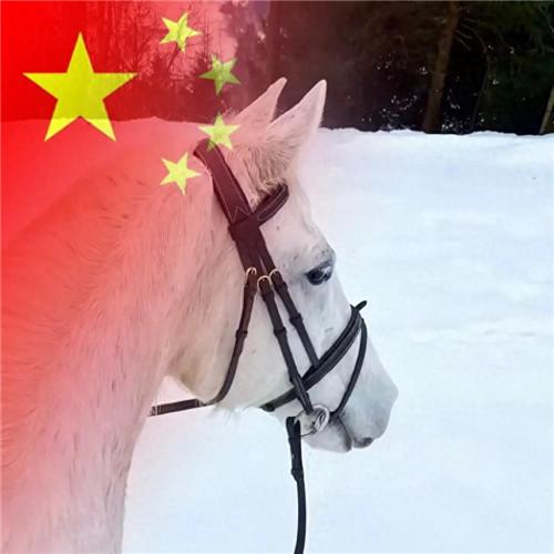 2023最新款微信国庆头像图片，国旗配色，爱国之心满满！