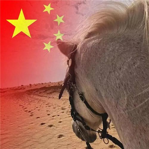 2023最新款微信国庆头像图片，国旗配色，爱国之心满满！