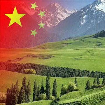 2023最新款微信国庆头像图片，国旗配色，爱国之心满满！