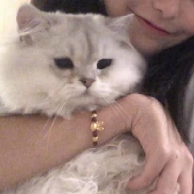 53组情侣头像二人专用微信一对两张