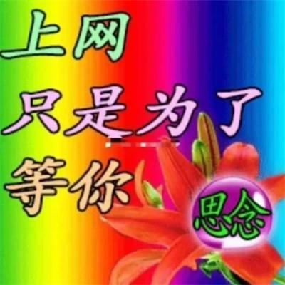 适合当头像的表情包高清62张，让头像更有趣！