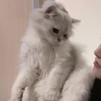 53组情侣头像二人专用微信一对两张