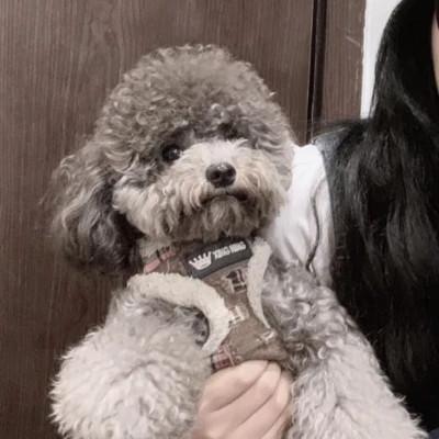 53组情侣头像二人专用微信一对两张