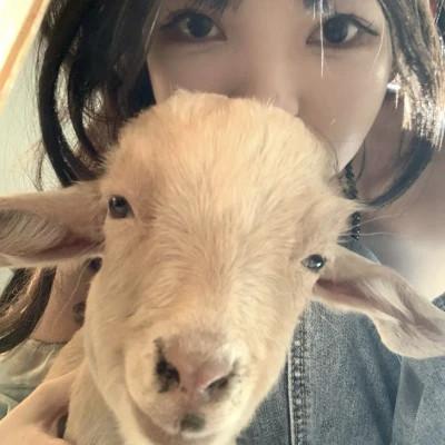 女生生活照片头像56张