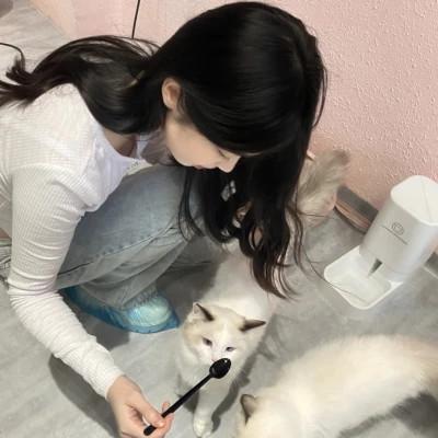 乖巧女头像ins高级质感40张