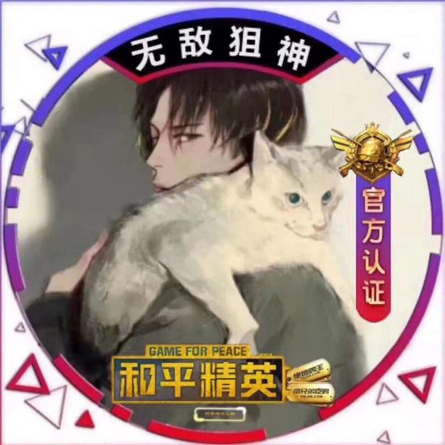 和平精英最帅头像 无敌战神身法大佬专用