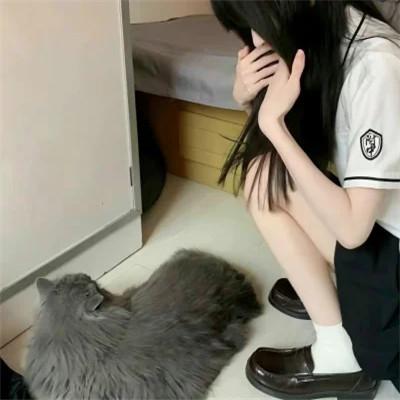WeChat风格女头75张