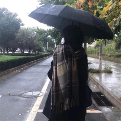 WeChat风格女头75张