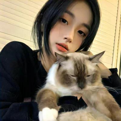 WeChat风格女头75张