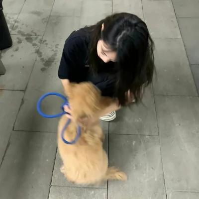 WeChat风格女头75张