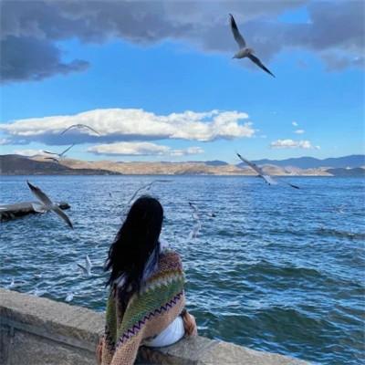 微信女生干净有品位的头像58张