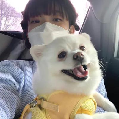 特别清纯的女生头像 高清很清纯很好看的女孩子头像图片