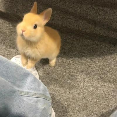 素颜比较真实的头像女高清照片