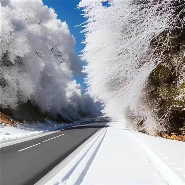 微信雪景头像风景唯美 千里冰封 万里雪飘