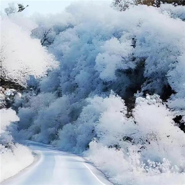 微信雪景头像风景唯美 千里冰封 万里雪飘