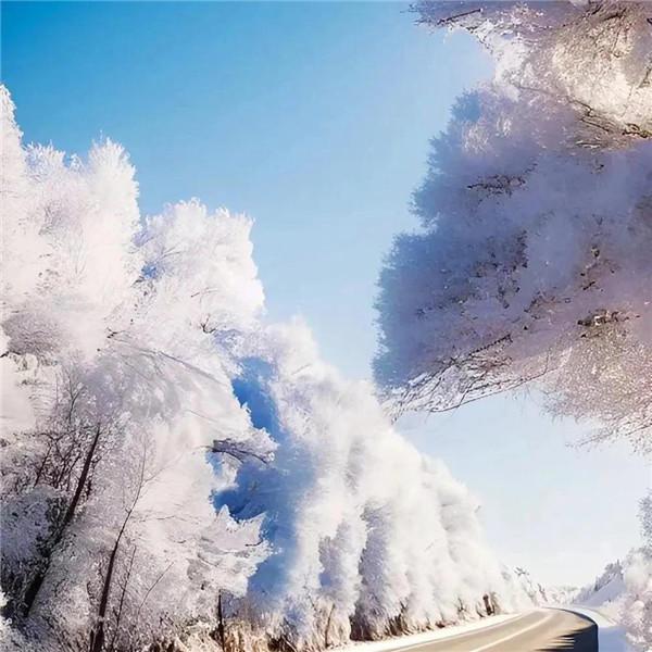 微信雪景头像风景唯美 千里冰封 万里雪飘