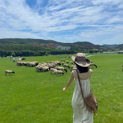 野外头像女 高清唯美的头像女风景大自然图片
