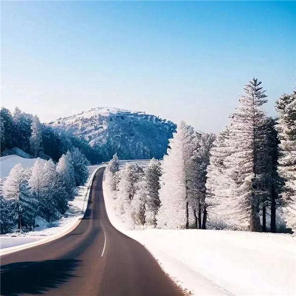 微信雪景头像风景唯美 千里冰封 万里雪飘