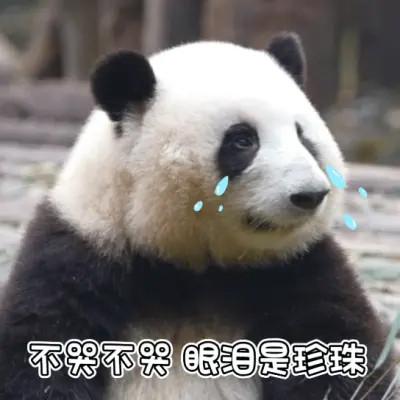 2023年最火的表情搞笑头像