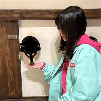 不同风格女头32张
