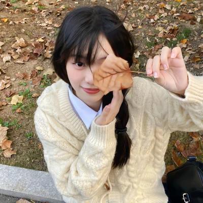 不同风格女头32张