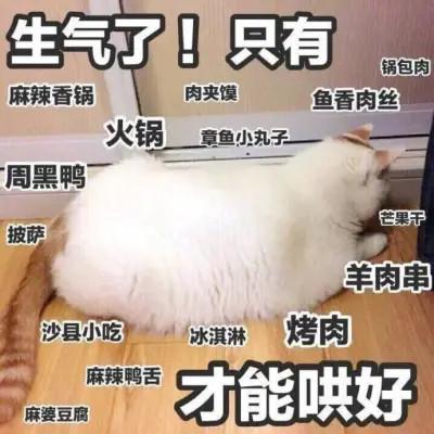 网络表情包带字图片81张