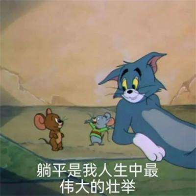 表情包头像搞笑图片95张