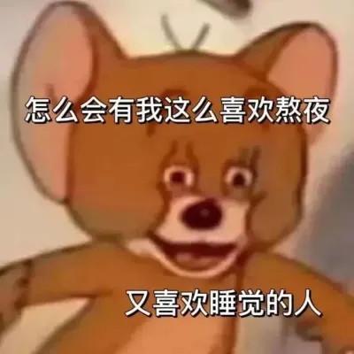 表情包头像搞笑图片95张