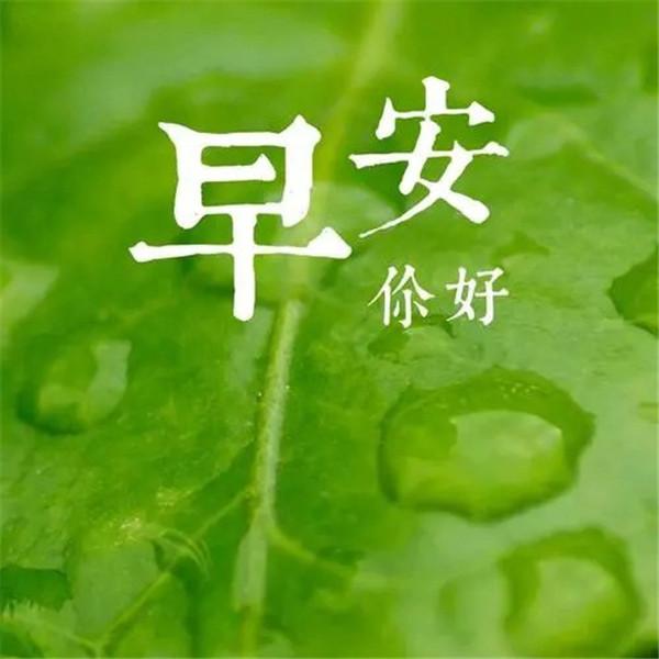 微信早安图片最新最美温馨