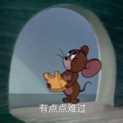 网络表情包带字图片81张