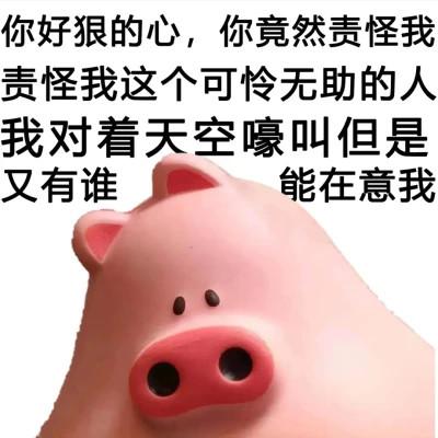 表情包头像搞笑图片95张