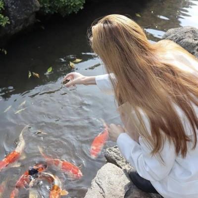 女生背影头像ins高级质感105张