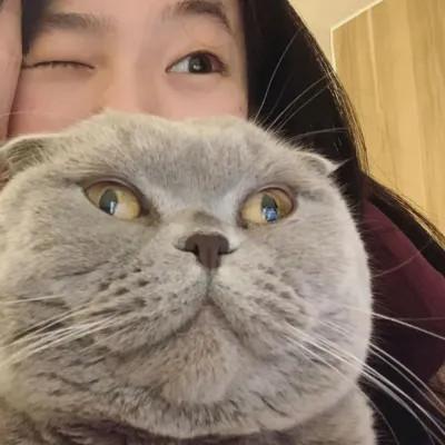 微信高质量女头像50张