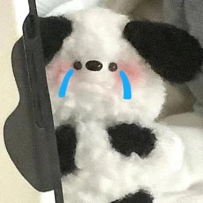 冷门有品位的情侣头像稀有图片