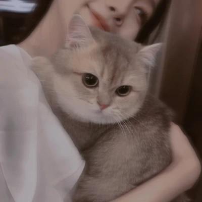 微信头像高级氛围感女生图片
