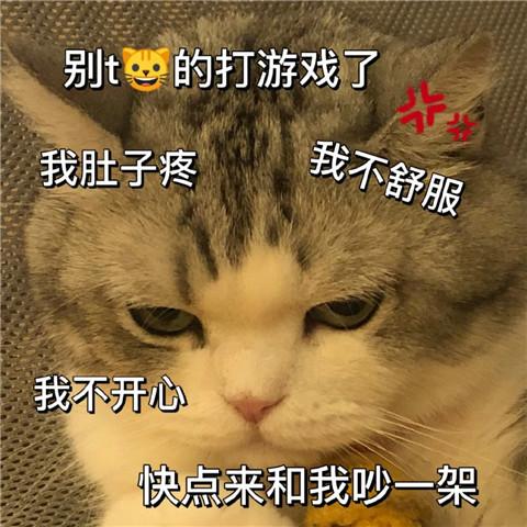 有点无聊猫咪表情包头像图片