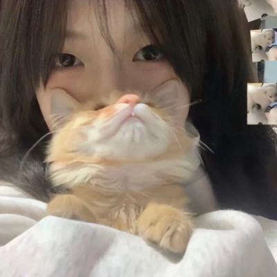 风格女头高清48张