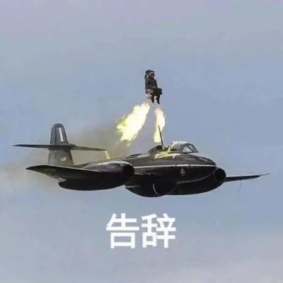 2023表情包最火头像图片