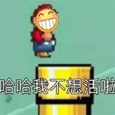 2023表情包最火头像图片