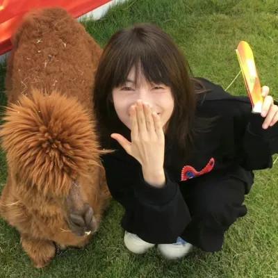 94张高质量风格女头ins