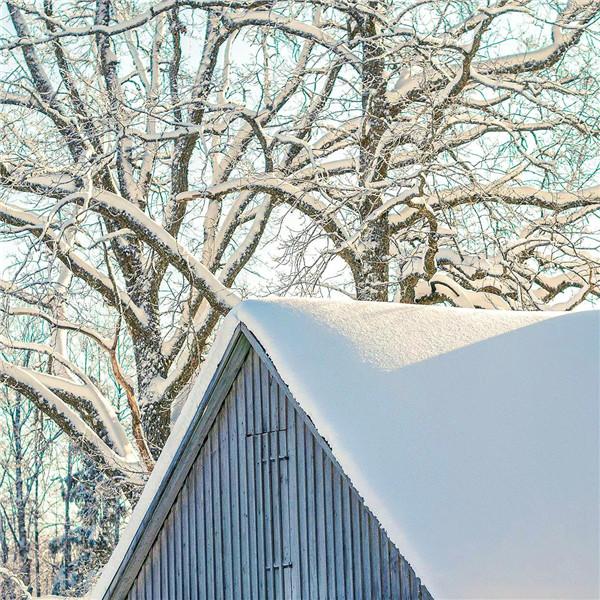 深山老林的雪景风光头像图片