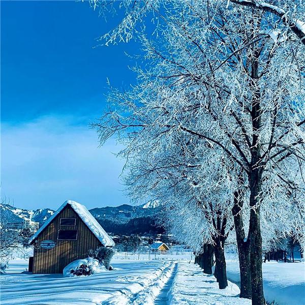 深山老林的雪景风光头像图片