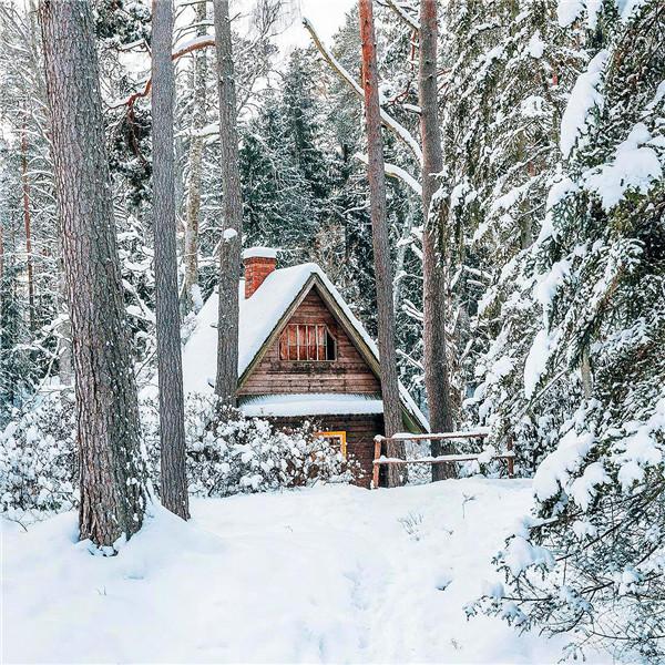 深山老林的雪景风光头像图片