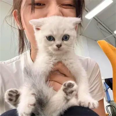 高质量女性头56张